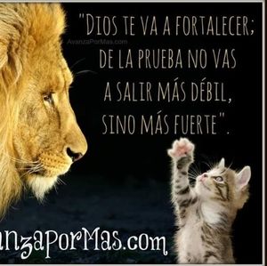 Meet your Posher, Carmen